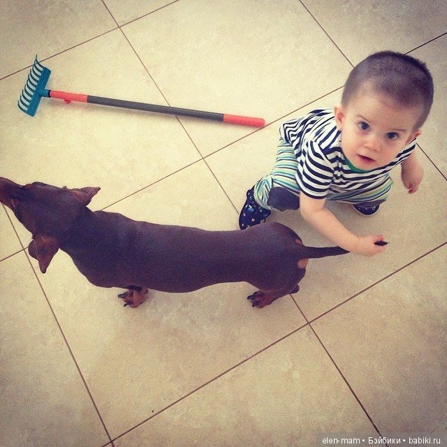 Моя бесконечная нежность, моё бесконечное счастье! Мои мальчики, мои внуки