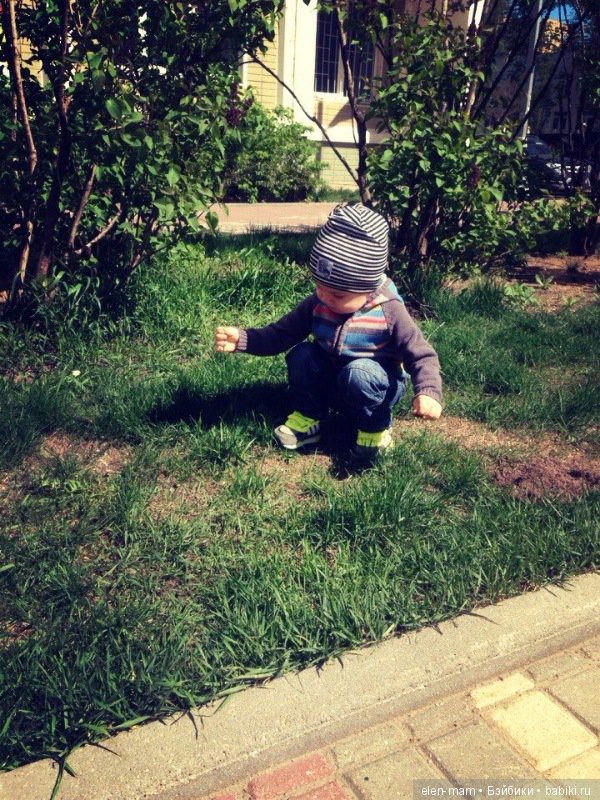 Моя бесконечная нежность, моё бесконечное счастье! Мои мальчики, мои внуки