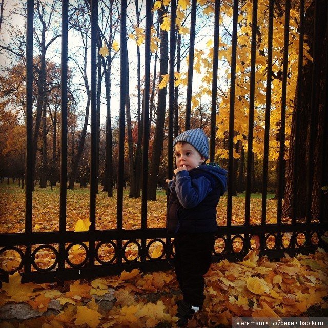 Моя бесконечная нежность, моё бесконечное счастье! Мои мальчики, мои внуки