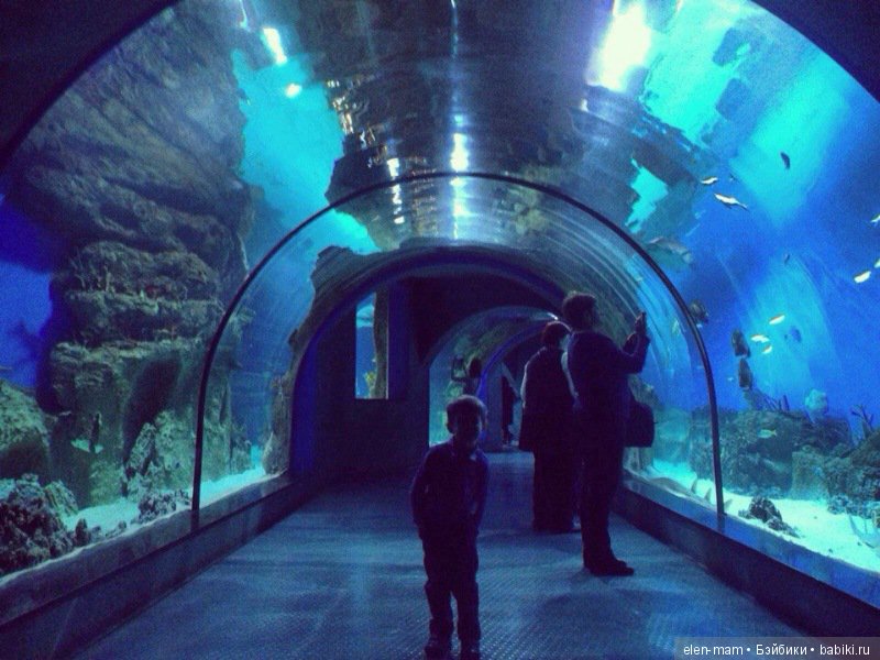 Москвариум