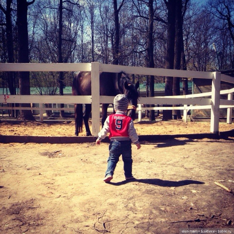 Моя бесконечная нежность, моё бесконечное счастье! Мои мальчики, мои внуки