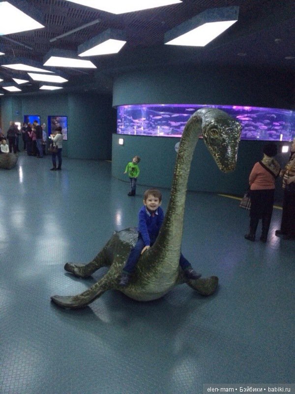 Моя бесконечная нежность, моё бесконечное счастье! Мои мальчики, мои внуки