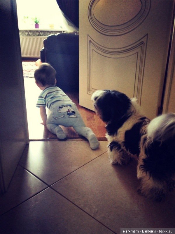 Моя бесконечная нежность, моё бесконечное счастье! Мои мальчики, мои внуки