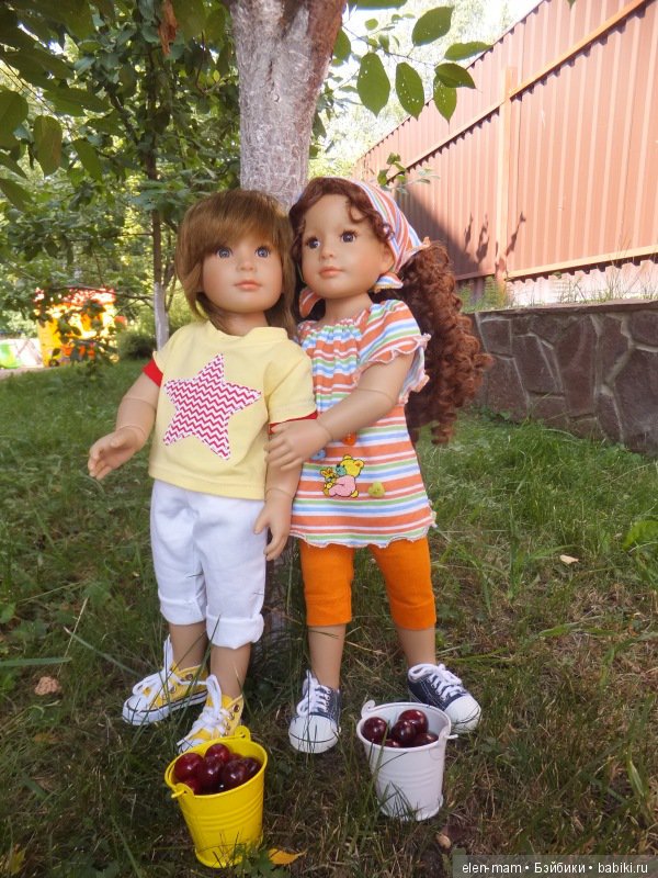 Вишня собрана 2