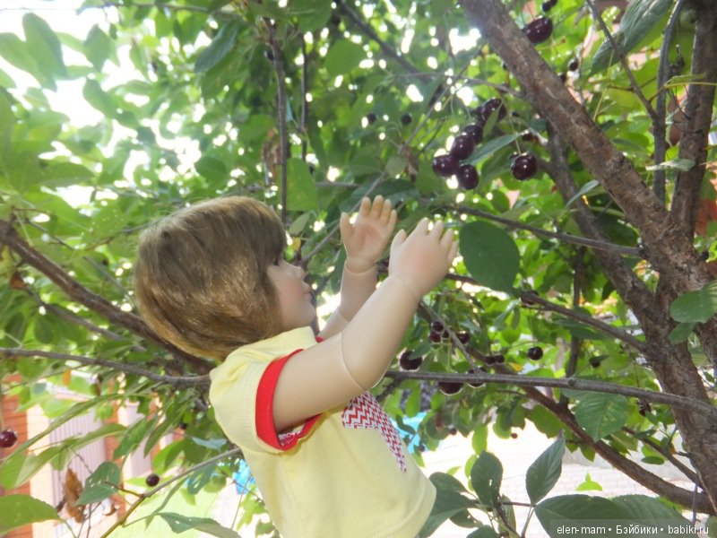 Макс на дереве