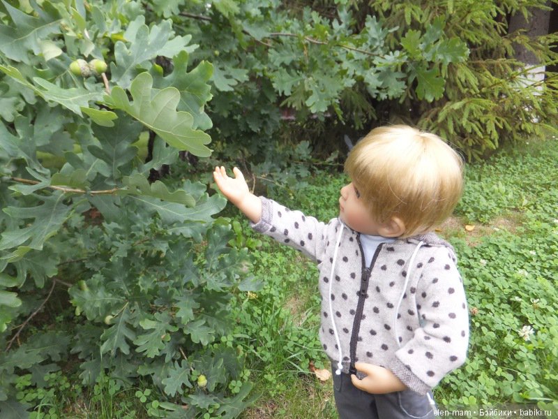 Игорь у дуба 2