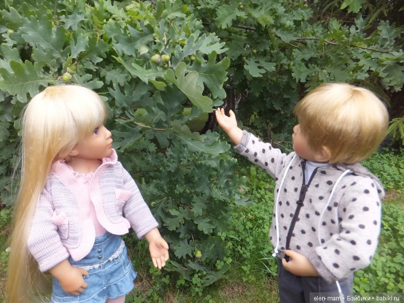 Ребятки у дуба