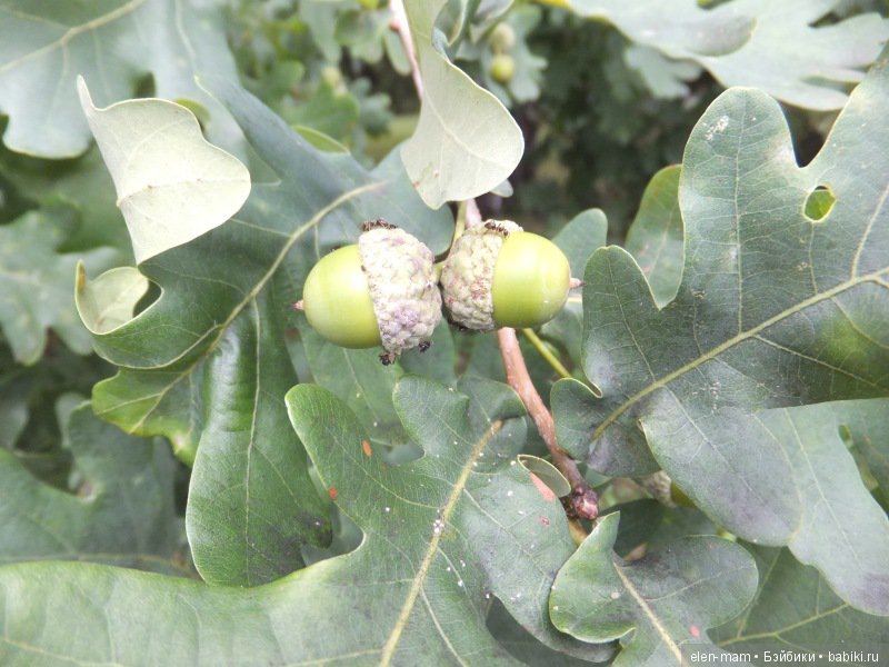 Первое Свидание. Куклы Kidz'n'Cats (фото 9)