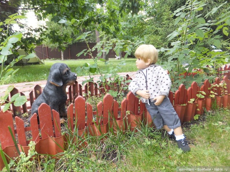 Палисадник, ротвейлер