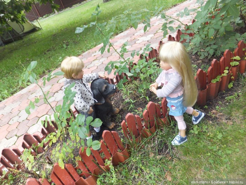 палисадник, разговор