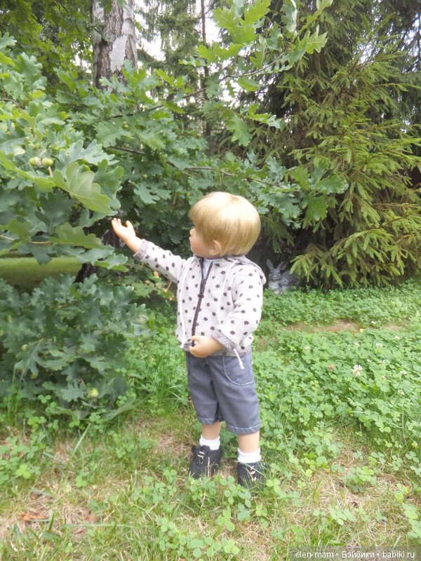 Игорь у дуба