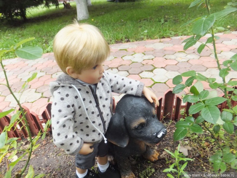 Гладит собаку