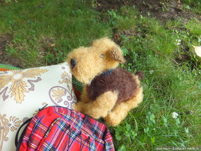 English. Boy&Girl. Куклы Kidz'n'Cats (фото 9)