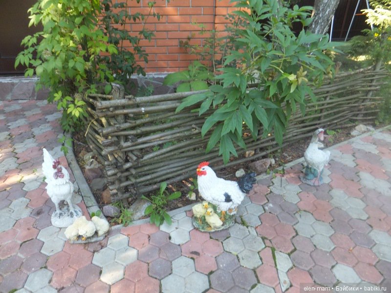 Птичий двор