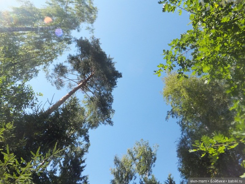 "Эх, прокачу!". Куклы Kidz'n'Cats (фото 2)