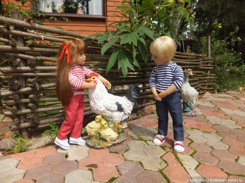 Птичий двор