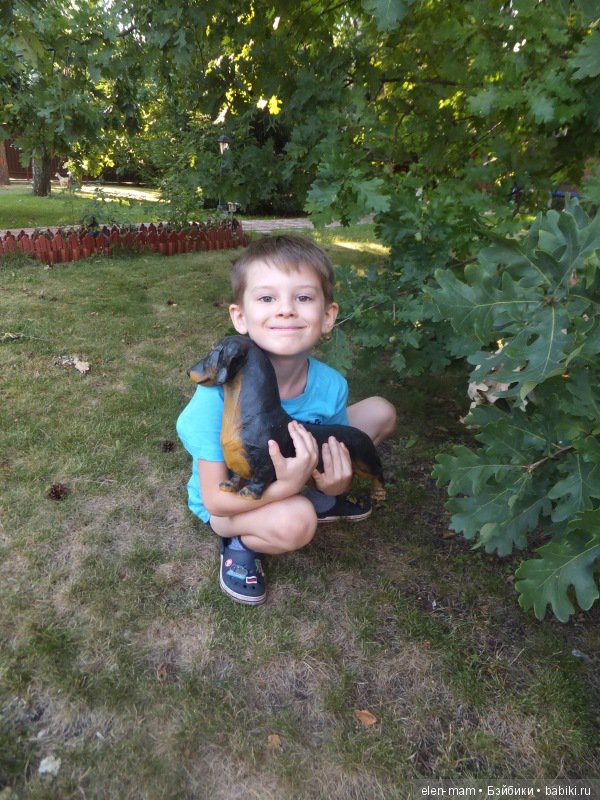 Даня с таксой