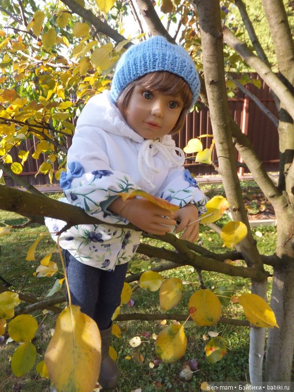 Диди на груше 3