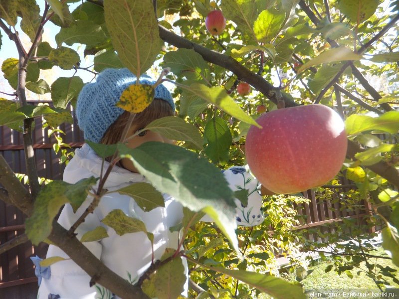 Октябрь, Осень Золотая. И мои куклы Kidz'n'Cats