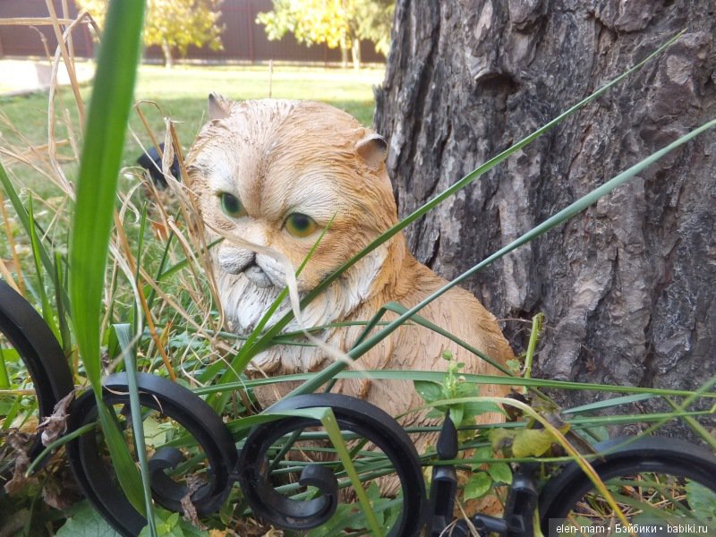 Октябрь, Осень Золотая. И мои куклы Kidz'n'Cats