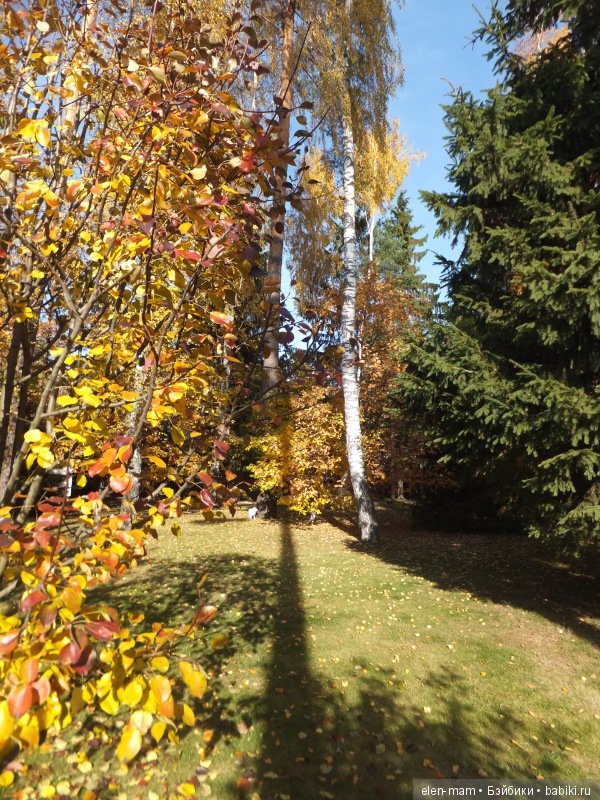 Вглубь двора...