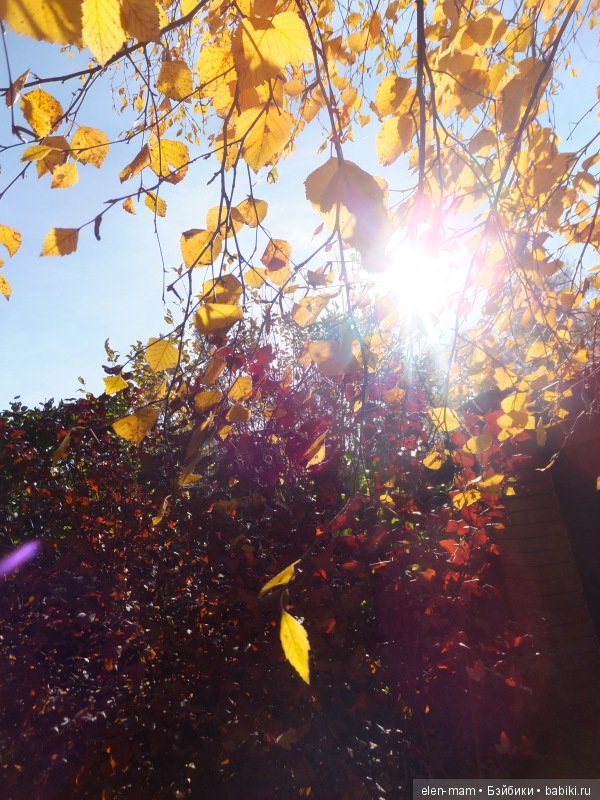 Осеннее настроение 2