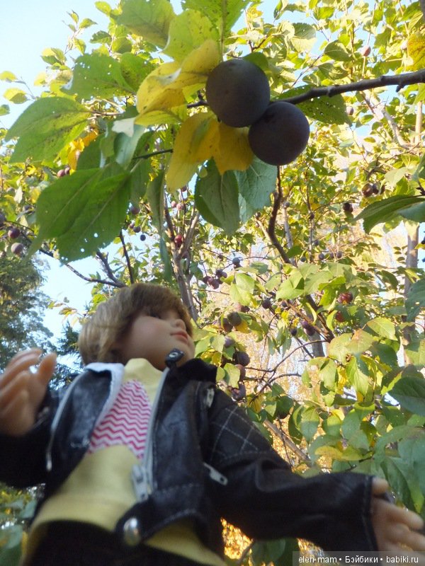 "Содружество четырёх М". Kidz'n'Cats