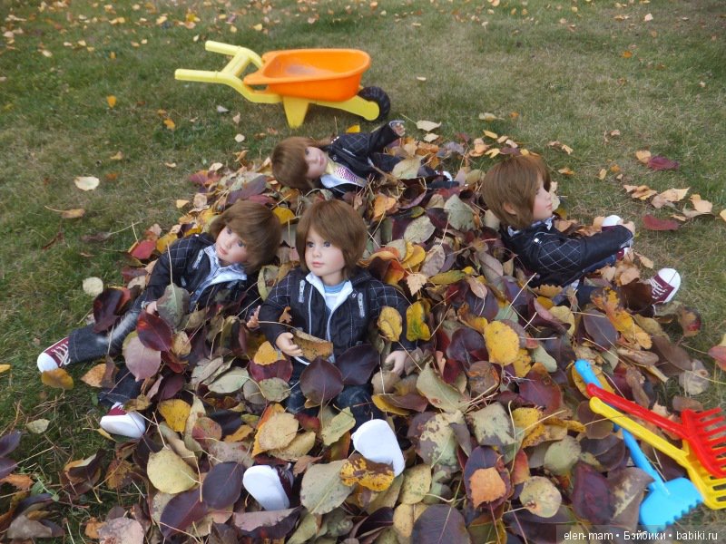 "Содружество четырёх М". Kidz'n'Cats