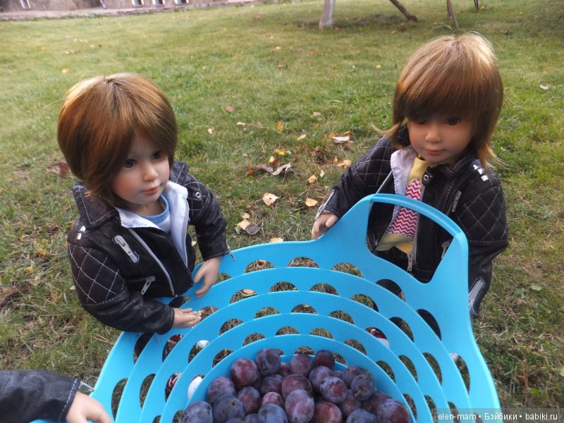 "Содружество четырёх М". Kidz'n'Cats