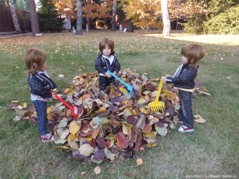 "Содружество четырёх М". Kidz'n'Cats