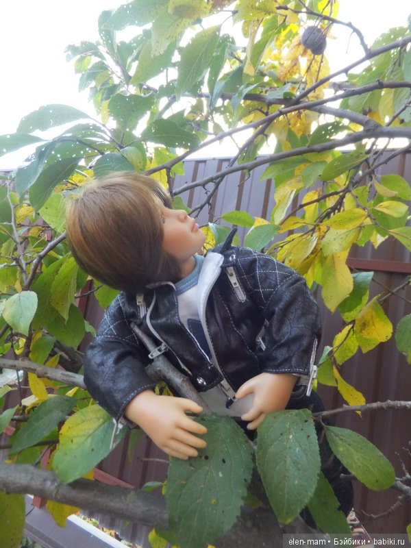 Майк на сливе