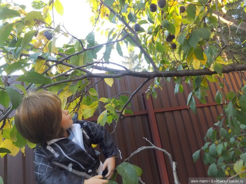 Майк на сливе 2