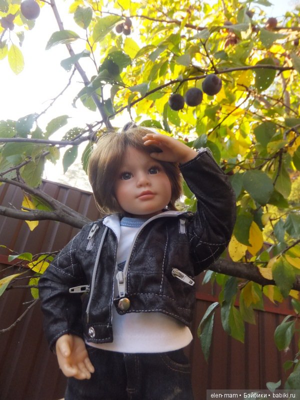 "Содружество четырёх М". Kidz'n'Cats