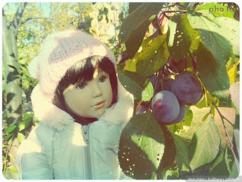 "Содружество четырёх М". Kidz'n'Cats