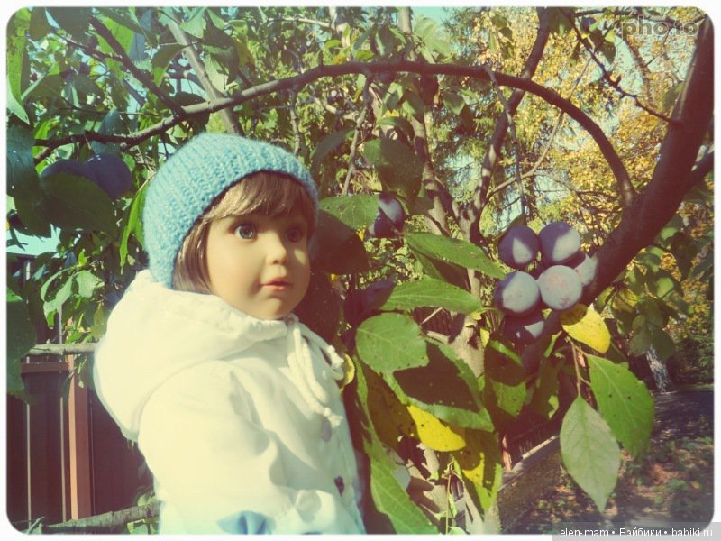 "Содружество четырёх М". Kidz'n'Cats