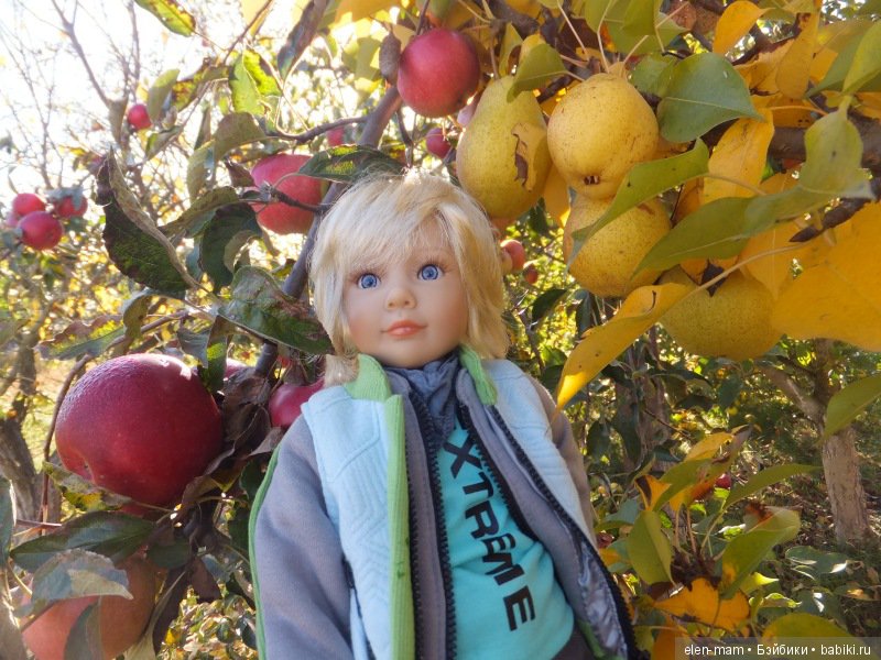 Яблоки и груши