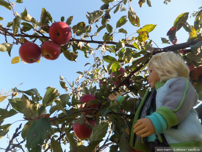 Отправляясь в путешествие, можно найти своё настоящее имя. Кукла Kidz'n'Cats Нико
