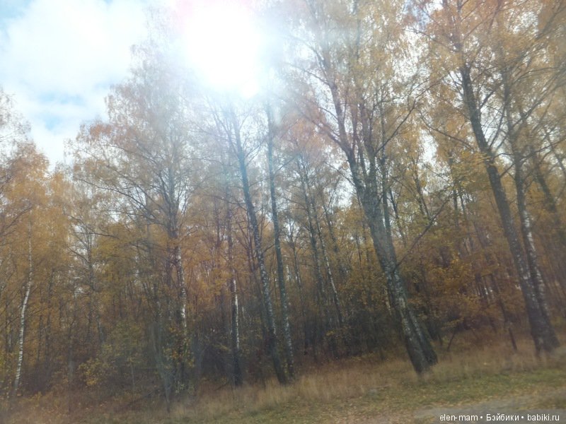 Отправляясь в путешествие, можно найти своё настоящее имя. Кукла Kidz'n'Cats Нико