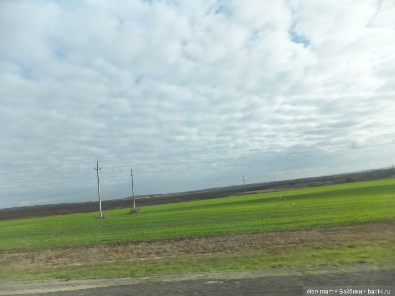 Зелёное поле