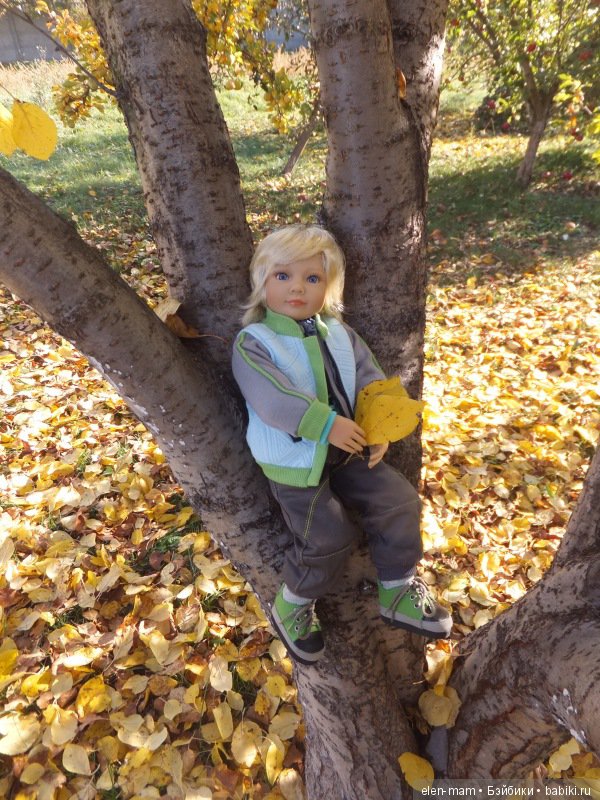 Ян на дереве 6