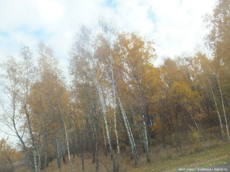 Отправляясь в путешествие, можно найти своё настоящее имя. Кукла Kidz'n'Cats Нико
