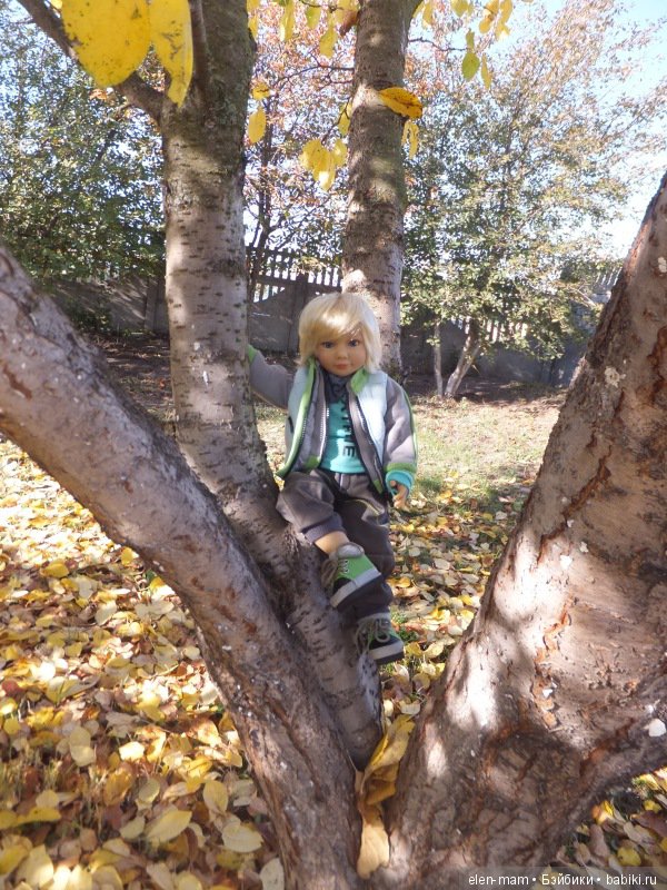 Ян на дереве 9