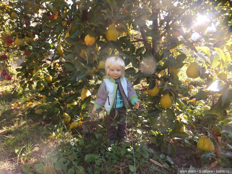 Солнечный свет