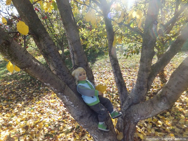 Ян на дереве 5