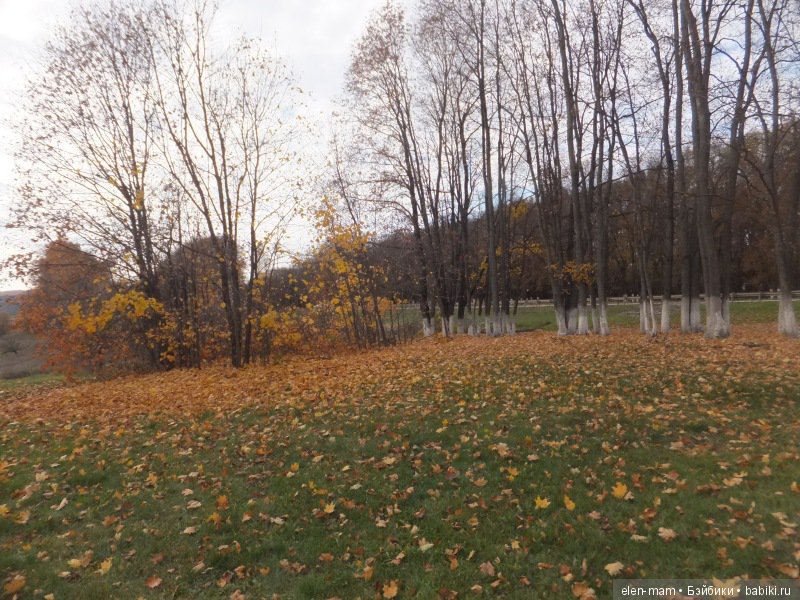 Отправляясь в путешествие, можно найти своё настоящее имя. Кукла Kidz'n'Cats Нико