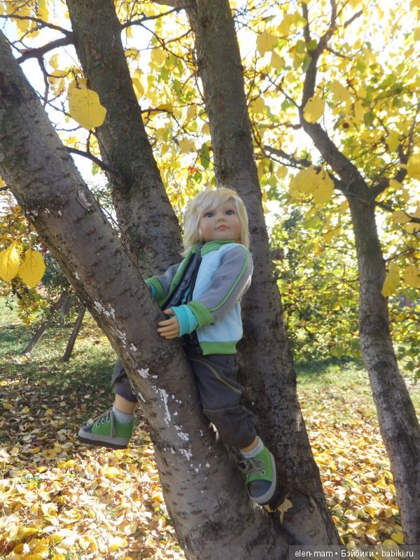 Ян на дереве 8