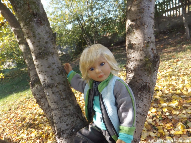 Ян на дереве