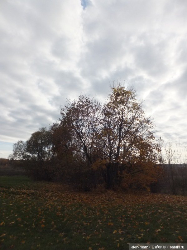 Отправляясь в путешествие, можно найти своё настоящее имя. Кукла Kidz'n'Cats Нико