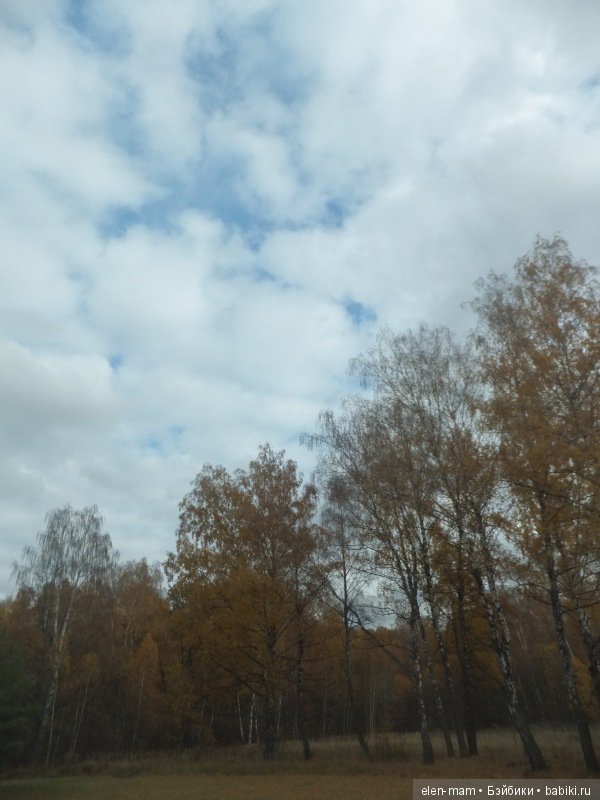 Отправляясь в путешествие, можно найти своё настоящее имя. Кукла Kidz'n'Cats Нико