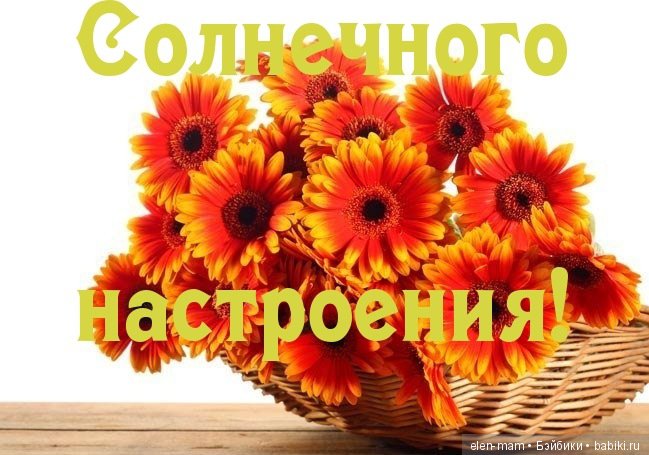 Flashmob "Моя кукла - модница!", включающий в себя мини-мини "конкурс". Анонс-Приглашение